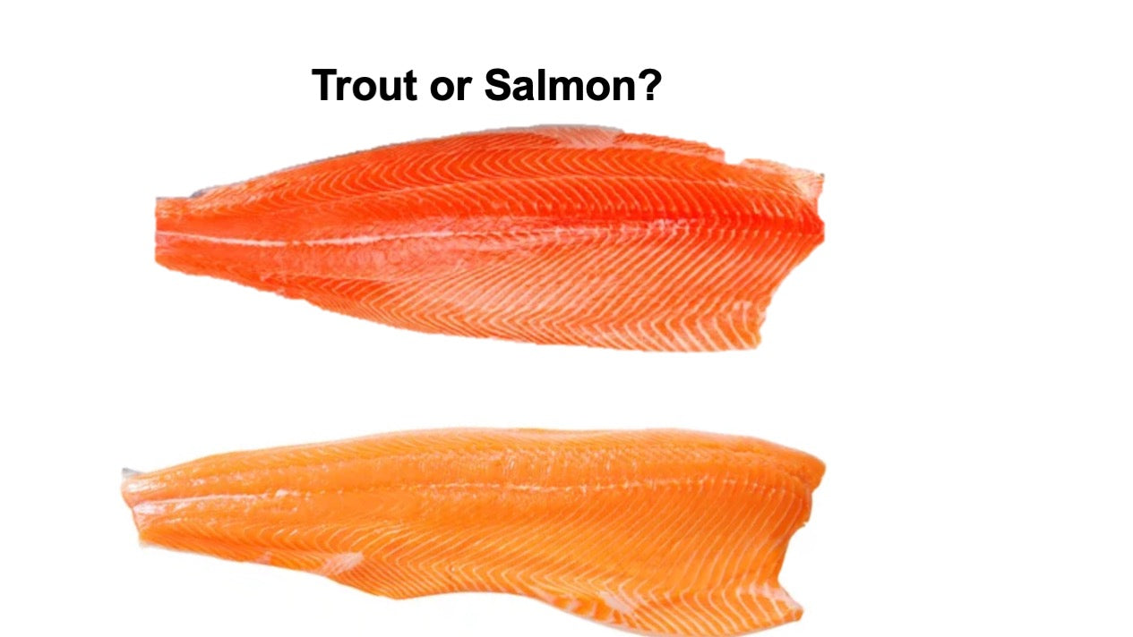 Unveiling the Truth Behind Trout and Salmon: Separating Facts from Fic –  MAMAGO