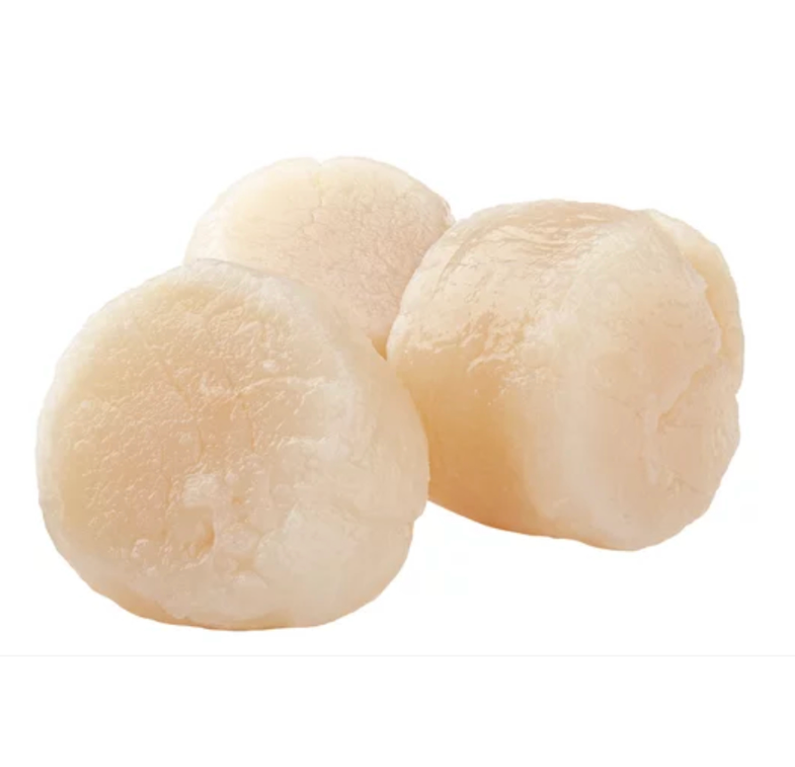 Japanese Hokkaido Scallop