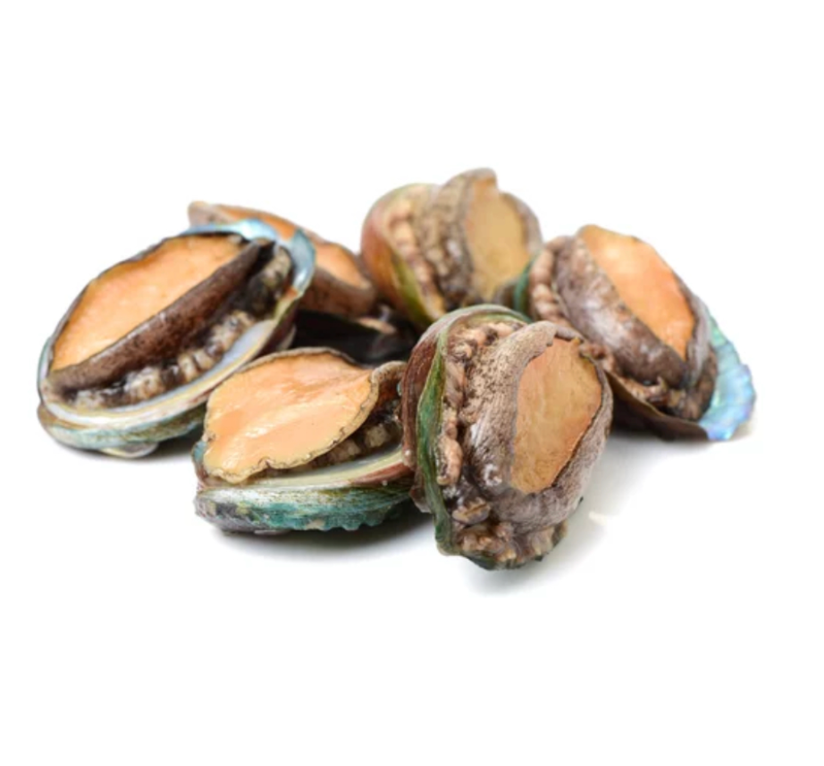Frozen Abalone In Shell