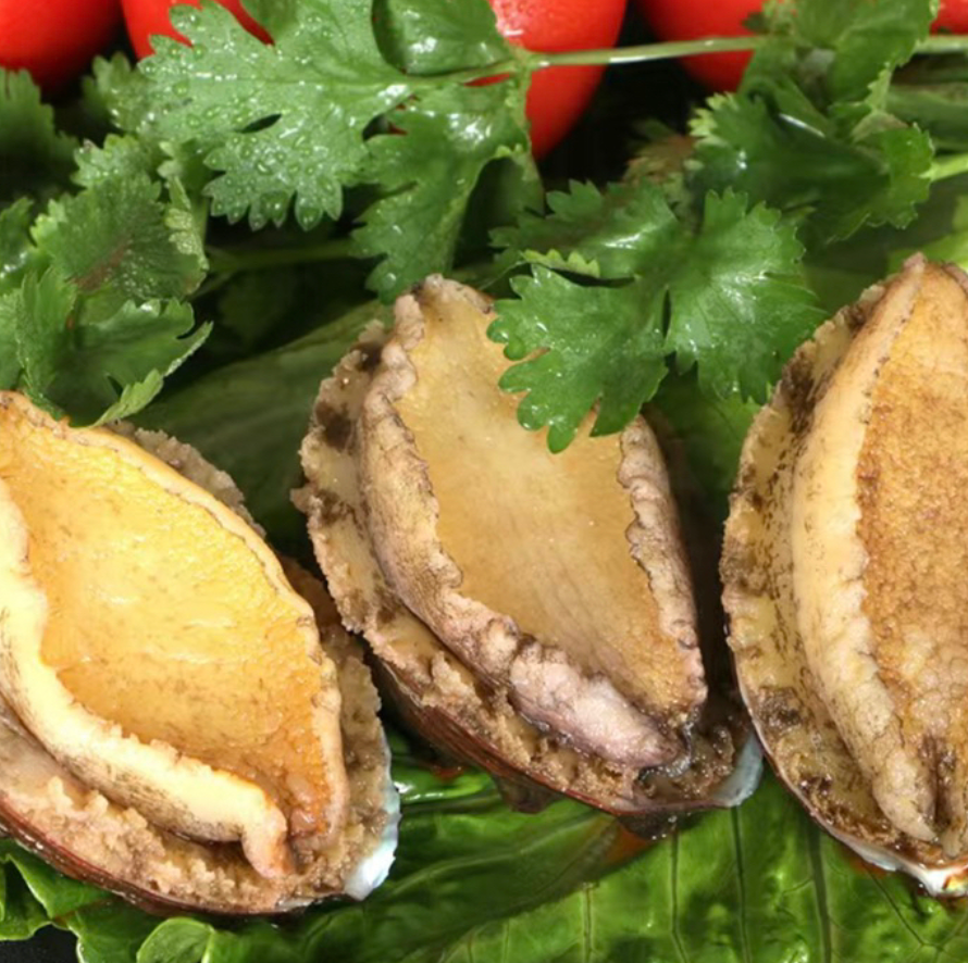 Frozen Abalone In Shell