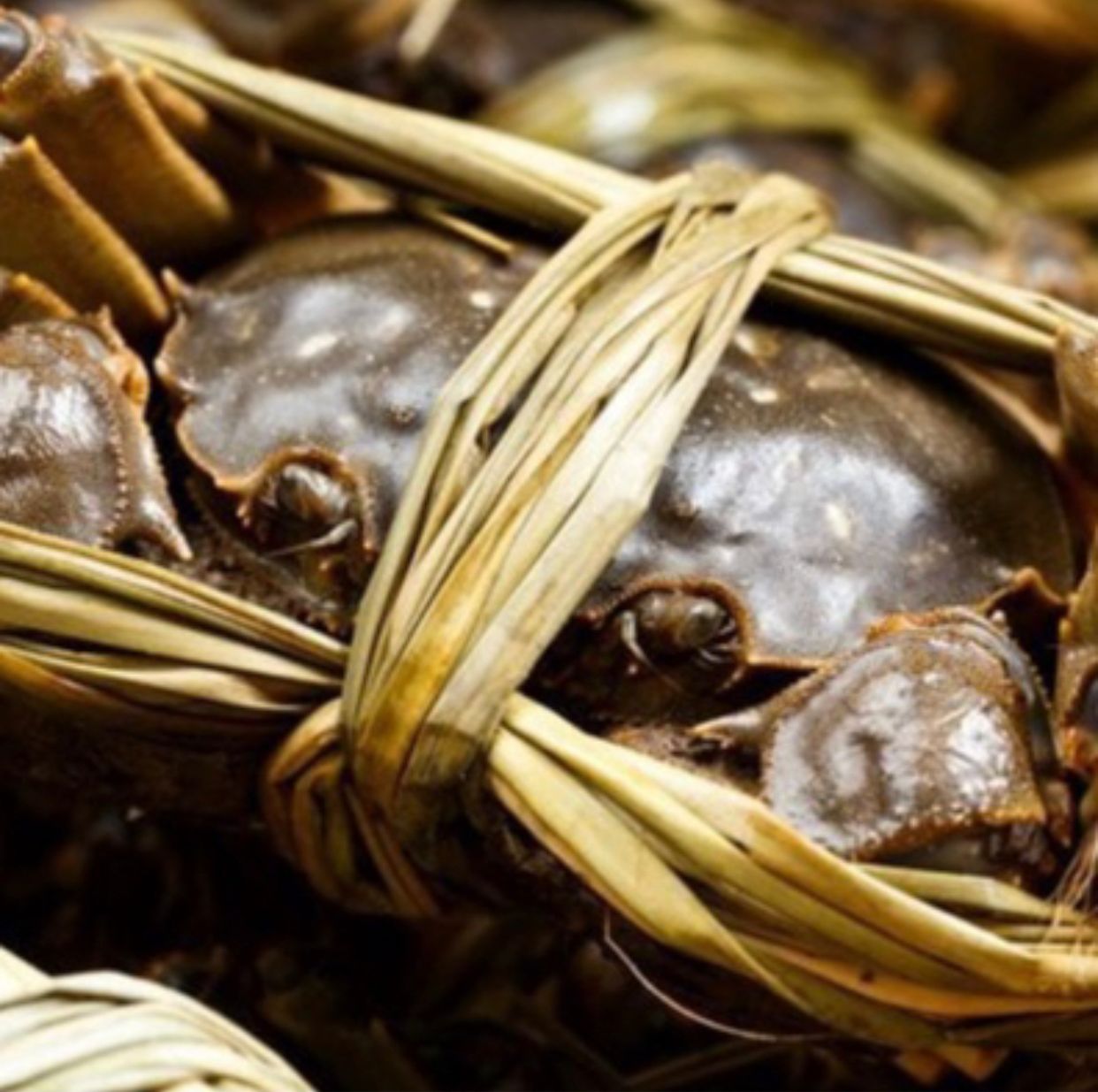 150g Mixed Hairy Crab Combo 3