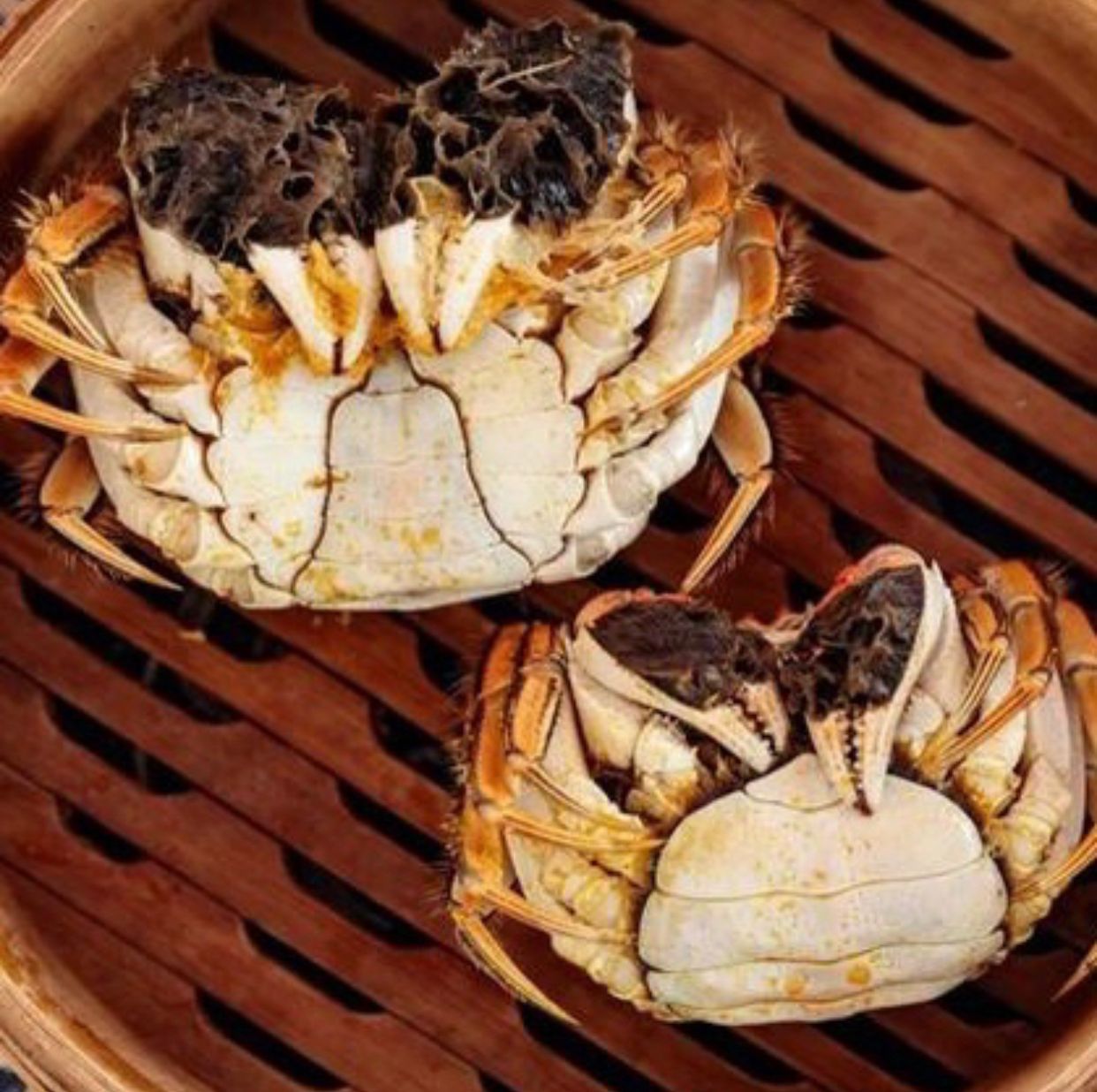 250g Male Hairy Crab x 8