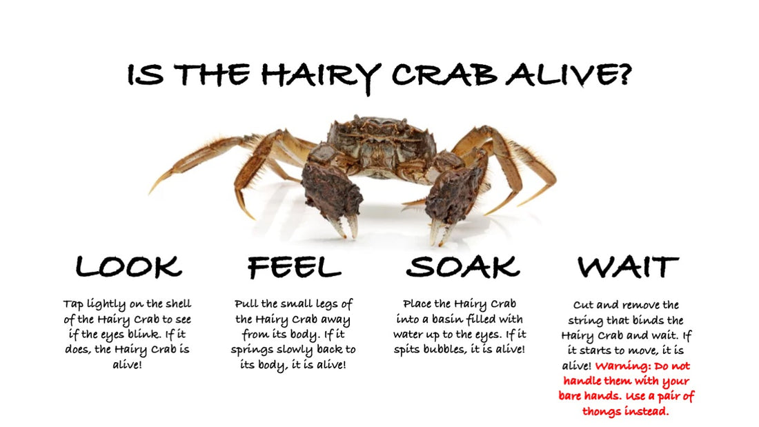 live hairy crab