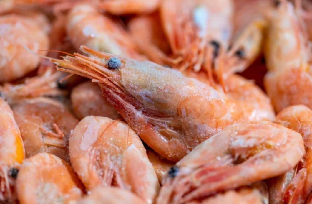From the Ocean to the Plate: A Flavour Adventure with Different Prawn Species