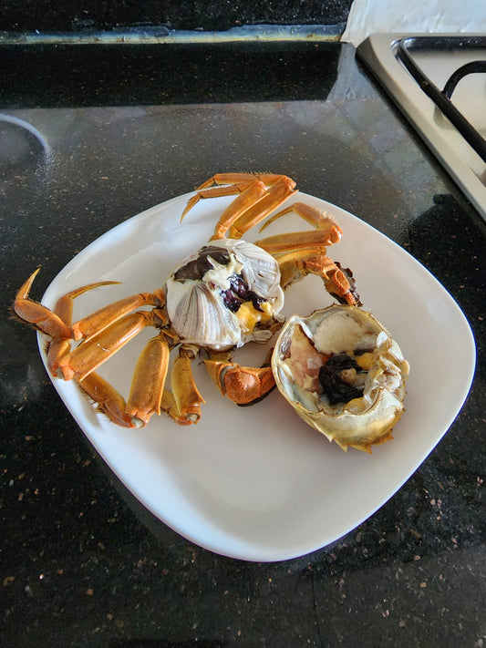 uncooked hairy crab