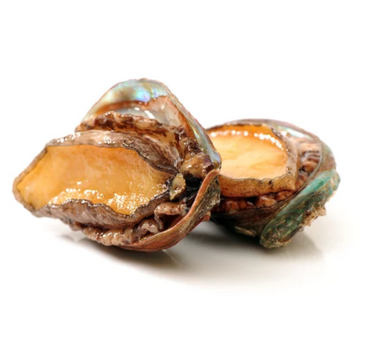Frozen Abalone In Shell