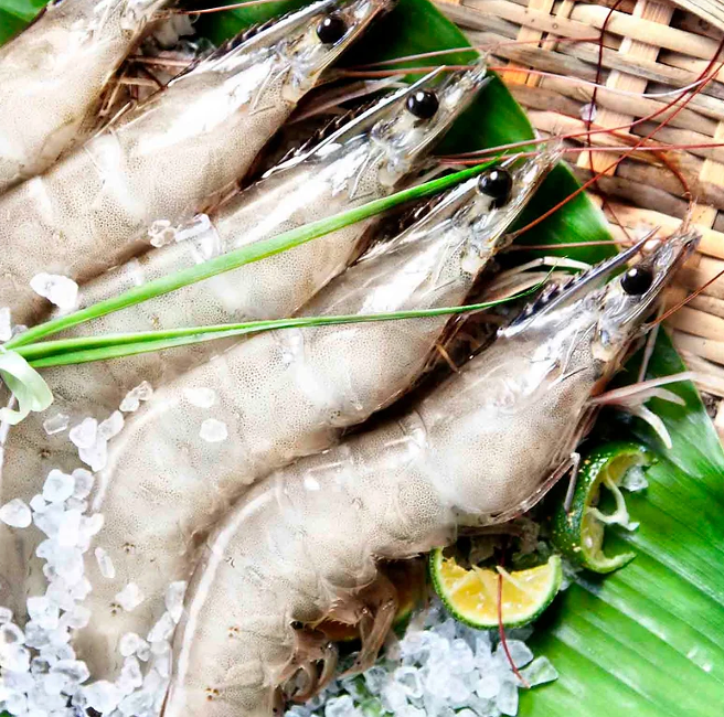 Wild Caught Sea White Ang Kar Prawn