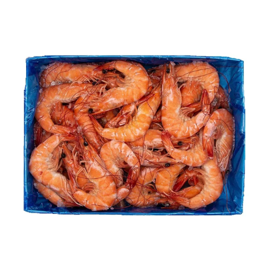 Live Frozen Cooked Vannamei Shrimps