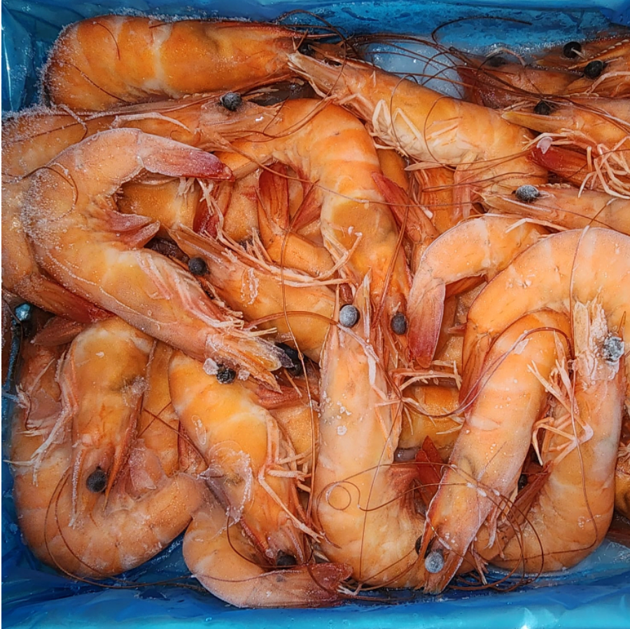 Live Frozen Cooked Vannamei Shrimps