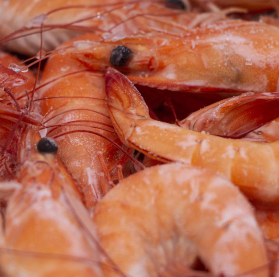 Live Frozen Cooked Vannamei Shrimps