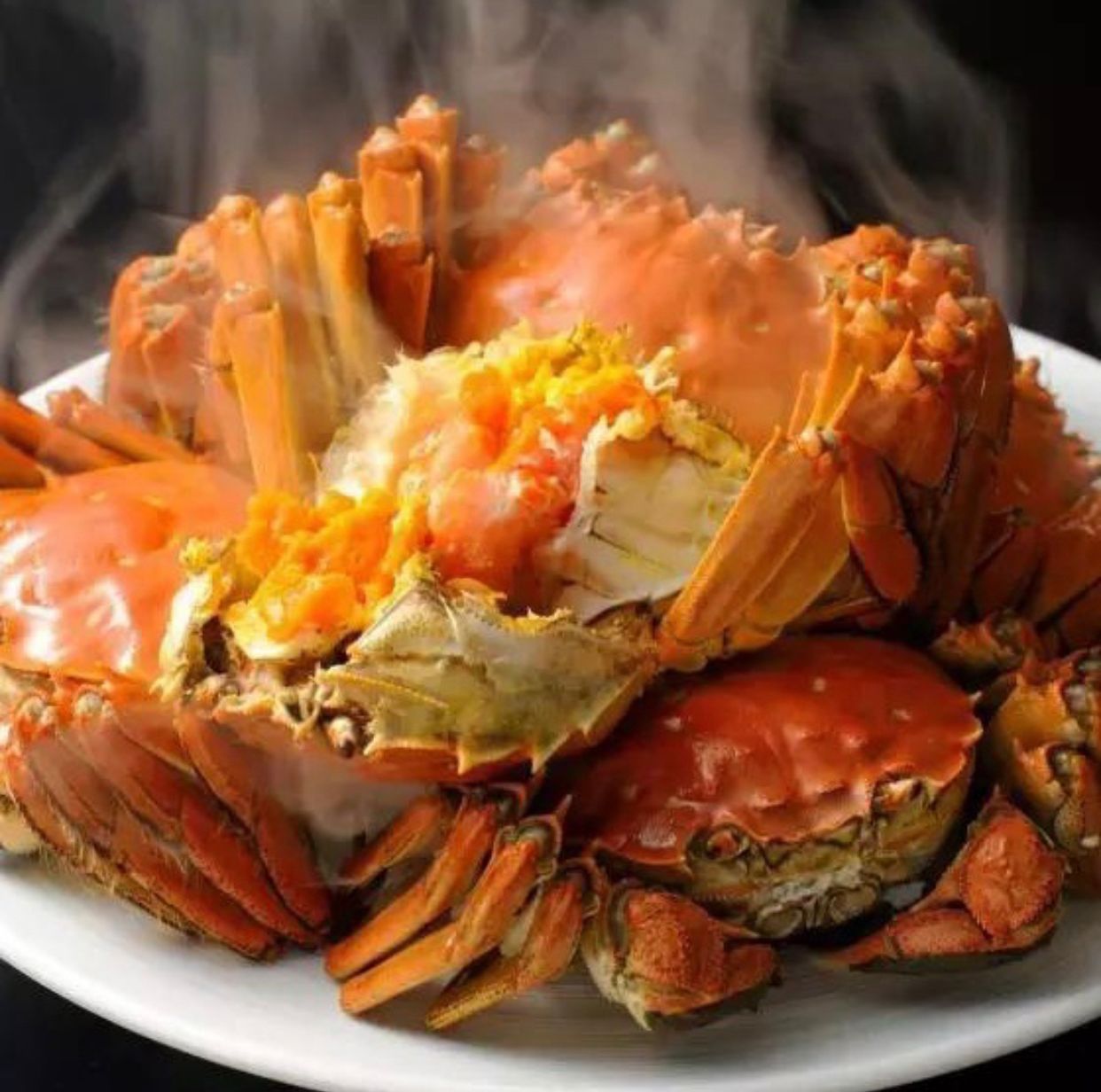 200g Male Hairy Crab