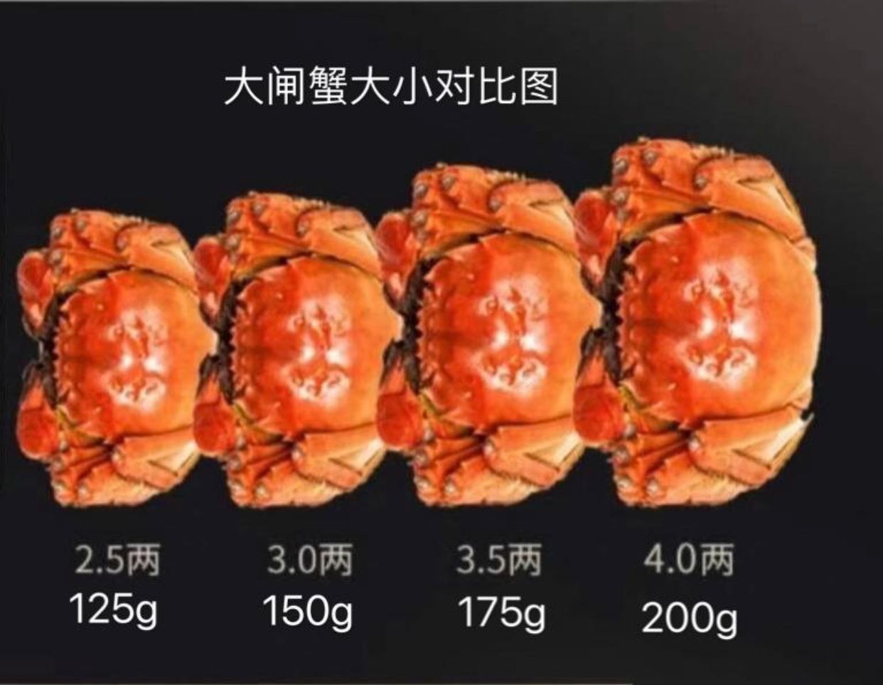 200克 大闸蟹 (公母组合) 套餐 5